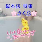 ヒメ日記 2025/02/19 10:19 投稿 さくら 熟女総本店 堺東店