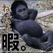 ヒメ日記 2025/02/23 13:59 投稿 さくら 熟女総本店 堺東店