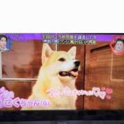 ヒメ日記 2025/04/16 23:59 投稿 さくら 熟女総本店 堺東店