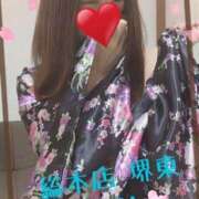 ヒメ日記 2025/04/20 19:10 投稿 さくら 熟女総本店 堺東店