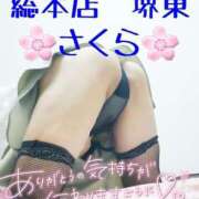 ヒメ日記 2025/04/28 13:59 投稿 さくら 熟女総本店 堺東店