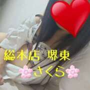 ヒメ日記 2025/09/14 17:19 投稿 さくら 熟女総本店 堺東店