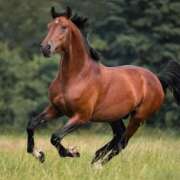 ヒメ日記 2026/01/10 13:29 投稿 さくら 熟女総本店 堺東店