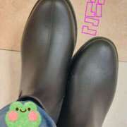 ヒメ日記 2025/09/12 00:09 投稿 れいこ 木更津人妻花壇