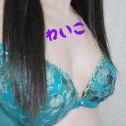 ヒメ日記 2025/12/19 17:04 投稿 れいこ 木更津人妻花壇