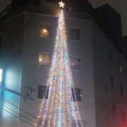 ヒメ日記 2025/12/20 21:13 投稿 れいこ 木更津人妻花壇