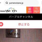 ヒメ日記 2026/04/16 23:59 投稿 れいこ 木更津人妻花壇