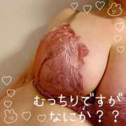 ヒメ日記 2025/08/11 09:51 投稿 ゆうな 熟女の風俗最終章 宇都宮店