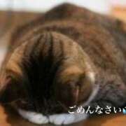 ヒメ日記 2026/02/04 06:41 投稿 ゆうな 熟女の風俗最終章 宇都宮店