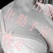 ヒメ日記 2026/02/24 14:21 投稿 ゆうな 熟女の風俗最終章 宇都宮店