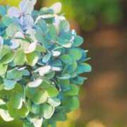 ヒメ日記 2025/07/03 11:01 投稿 つむぎ 横浜人妻ヒットパレード（シンデレラグループ）