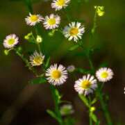 ヒメ日記 2026/02/23 09:39 投稿 つむぎ 横浜人妻ヒットパレード（シンデレラグループ）