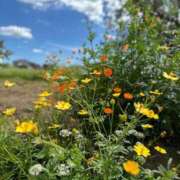 ヒメ日記 2025/05/26 18:09 投稿 まなみ 贅沢なひと時