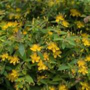 ヒメ日記 2025/06/05 18:20 投稿 まなみ 贅沢なひと時