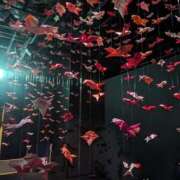 ヒメ日記 2025/06/09 18:11 投稿 まなみ 贅沢なひと時