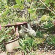 ヒメ日記 2025/06/17 17:40 投稿 まなみ 贅沢なひと時