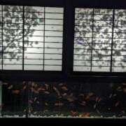 ヒメ日記 2025/06/21 12:10 投稿 まなみ 贅沢なひと時