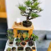 ヒメ日記 2025/06/22 16:07 投稿 まなみ 贅沢なひと時