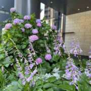 ヒメ日記 2025/06/23 05:38 投稿 まなみ 贅沢なひと時