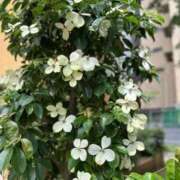 ヒメ日記 2025/07/18 21:11 投稿 まなみ 贅沢なひと時