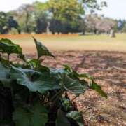 ヒメ日記 2025/09/28 23:29 投稿 まなみ 贅沢なひと時