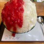 ヒメ日記 2025/04/21 09:44 投稿 雪奈 桃李（とうり）