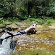 ヒメ日記 2025/09/16 07:15 投稿 上重　まこ プルプル京都性感エステ　はんなり
