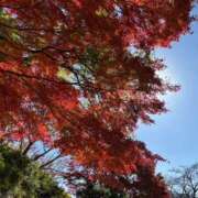 ヒメ日記 2025/11/18 18:28 投稿 上重　まこ プルプル京都性感エステ　はんなり