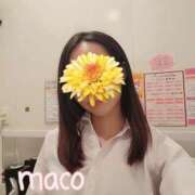 ヒメ日記 2026/03/29 20:01 投稿 上重　まこ プルプル京都性感エステ　はんなり