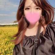 ヒメ日記 2025/04/07 23:16 投稿 みこと　☆一目で恋に落ちる☆ PREMIUM～プレミアム～