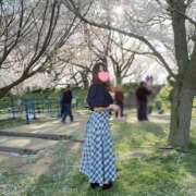 ヒメ日記 2025/04/12 18:26 投稿 みこと　☆一目で恋に落ちる☆ PREMIUM～プレミアム～