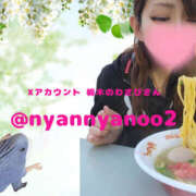 ヒメ日記 2025/04/15 22:06 投稿 みこと　☆一目で恋に落ちる☆ PREMIUM～プレミアム～