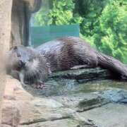 ヒメ日記 2025/05/28 13:46 投稿 みこと　☆一目で恋に落ちる☆ PREMIUM～プレミアム～