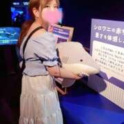 ヒメ日記 2025/06/22 17:56 投稿 みこと　☆一目で恋に落ちる☆ PREMIUM～プレミアム～