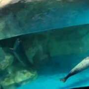 ヒメ日記 2025/06/24 20:36 投稿 みこと　☆一目で恋に落ちる☆ PREMIUM～プレミアム～