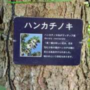 ヒメ日記 2025/07/01 10:46 投稿 みこと　☆一目で恋に落ちる☆ PREMIUM～プレミアム～