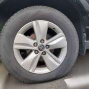 ヒメ日記 2026/01/19 11:36 投稿 みこと　☆一目で恋に落ちる☆ PREMIUM～プレミアム～