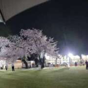 ヒメ日記 2026/04/05 11:46 投稿 みこと　☆一目で恋に落ちる☆ PREMIUM～プレミアム～