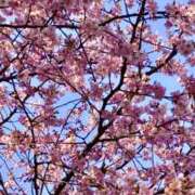 西島 ありがとうございました😊 人妻風俗チャンネル