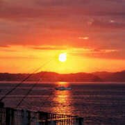 西島 本日 人妻風俗チャンネル