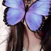 ヒメ日記 2024/12/20 19:24 投稿 いずみ しろうさぎ