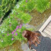 ヒメ日記 2026/01/14 13:46 投稿 ふゆ 渋谷 風俗 いきなりビンビン伝説