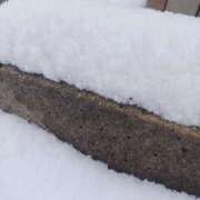 ヒメ日記 2025/02/08 10:28 投稿 美山　あいこ エテルナ京都