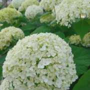 ヒメ日記 2025/06/06 16:44 投稿 美山　あいこ エテルナ京都