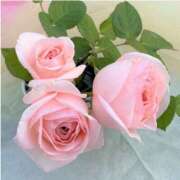 ヒメ日記 2025/09/02 16:04 投稿 美山　あいこ エテルナ京都