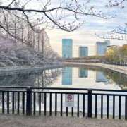 ヒメ日記 2025/04/01 13:07 投稿 ゆりこ 艶熟妻 京都店