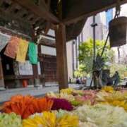 ヒメ日記 2025/04/12 20:07 投稿 ゆりこ 艶熟妻 京都店