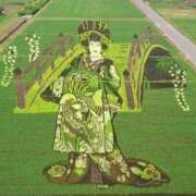 ヒメ日記 2025/05/13 17:26 投稿 ゆりこ 艶熟妻 京都店