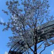 ヒメ日記 2025/04/04 18:34 投稿 あい 学園collection