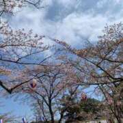 ヒメ日記 2025/04/21 13:24 投稿 あい 学園collection